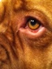 Benutzerbild von Dega