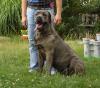 Benutzerbild von Teddy
