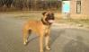 Benutzerbild von joeblack66
