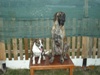 Benutzerbild von MagicalDog