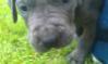 Benutzerbild von Murphys_Law