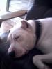 Benutzerbild von Tyson2003