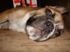 Benutzerbild von Michaela79