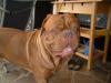 Benutzerbild von Buddy BX