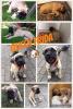 Benutzerbild von zoely