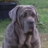 Benutzerbild von Vicky