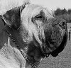 Benutzerbild von anna1