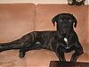 Benutzerbild von Drago